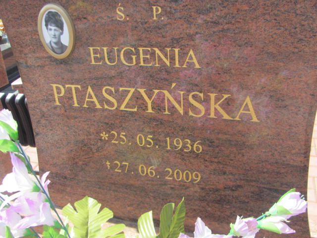 Eugenia Ptaszyńska 1936 Białystok Prawosławny - Grobonet - Wyszukiwarka osób pochowanych